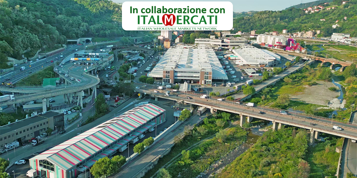 Stagione estiva, continuità e qualità premiano i mercati: bene meloni e pesche nettarine